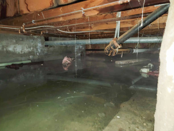 Sewage cleanup and water damage restoration in Tchula, MS