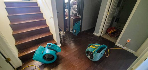 Best Water damage restoration services  in Tchula, MS