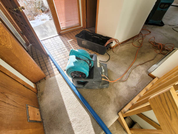Trusted Tchula, MS Water damage restoration Experts