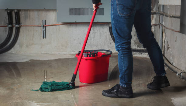 Best Water damage contractors near me  in Tchula, MS